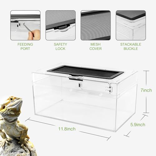 Reptile PC Terrarium Amphibian Tank Spider Enclosure Snake Cage 7x11.8x5.9inch Suitable for breeding Leopard Gecko,Frog,Hermit Crab,Lizards,Isopod,Tarantula,Turtles,Chameleons,Jumping Spiders - color: Transparent, size: Large