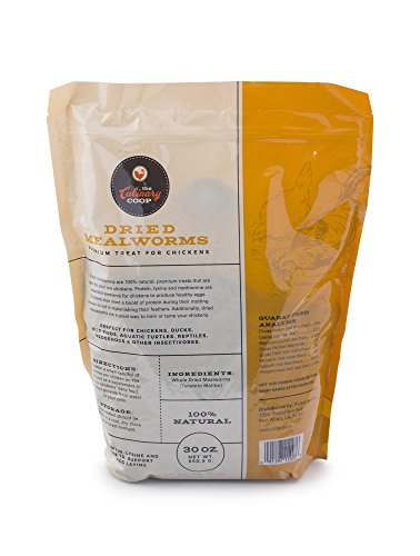 Fluker's Culinary Coop Premium Chicken Treats, Mealworms 30 oz, High Protein Worm, Nutritious Treat - size: 1.88 Pound (Pack of 1)
