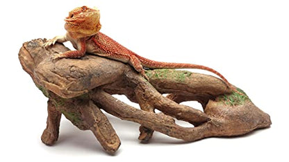 Gnarled Large Root, Brown, Reptile Habitat Accessory