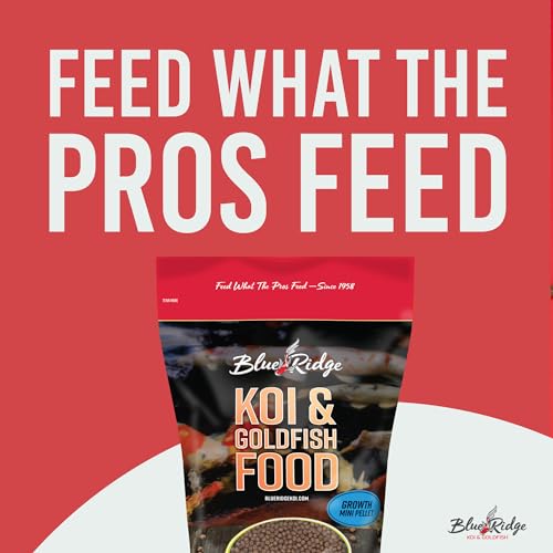 Blue Ridge Koi Fish Food 2lb - Koi Food Mini Growth Formula, Goldfish Food, Premium Fish Food for Ponds, Ponds Fish Food, Floating Pond Pellets - size: 2 Pound (Pack of 1)