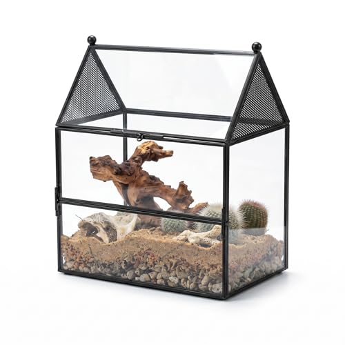 NCYP Glass Enclosure with Vent Holes for Small Insect, Jumping Spiders, Mantis - 7.5" x 4.9" x 9" Front Opening Door House Shape Vented Glass Terrarium, Home Decor Black (Terrarium Only) - size: 7.5" x 4.9" x 9"