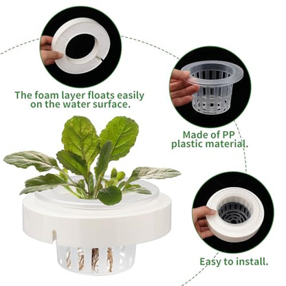 Plus tard 3 Set Floating Aquarium Plant Holders with Suction Cups, Fish Tank Plant Holders, Translucent Baskets for Hydroponic Plant Cultivation and Aquascape Decoration