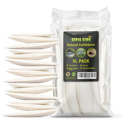Sepia King - Large - Cuttlebone for Birds, Tortoises, Snails, Reptiles 5.5-7" - 8.8oz - 100% Natural Calcium Supplement, Food and Toys for Parakeets, Turtles