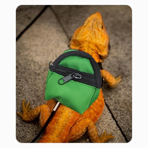 Crested Geckos Backpack Carrier,Reptile Portable Backpack Carrier with Small Backpack Harness Leash Set,Space Capsule Clear Bubble Window Travel Backpack for Lizard Travel,Guinea Pig,Bearded Dragon - color: Green