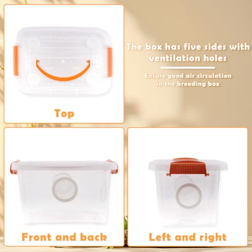 Reptile Feeding Box Snake Plastic Transparent Breeding Box Hatching Container for Small Reptile Bearded Gecko Dragon Lizard Spider Frog Scorpion (11 x 7.8 x 6.7 Inch)