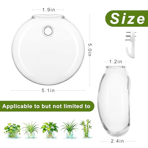 Wall Propagation Planters, 4 Pack Oblate Hanging Plant Holder Vase | Glass Terrariums Station, Hydroponic Indoor Flowers, Excludes Plants, Bathroom Living Room Office Decor, Gift for Plant Lover - size: 5.1"L x 2.4"W x 5"H