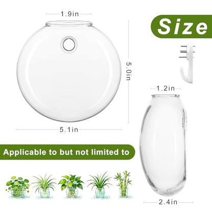 Wall Propagation Planters, 4 Pack Oblate Hanging Plant Holder Vase | Glass Terrariums Station, Hydroponic Indoor Flowers, Excludes Plants, Bathroom Living Room Office Decor, Gift for Plant Lover - size: 5.1"L x 2.4"W x 5"H