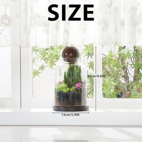 Tall Glass Terrarium Jar: House for Succulent Plant/Moss/Fish | Mini Table with Wood Base/Ball lid Office Home Decoration - size: H-9.8IN