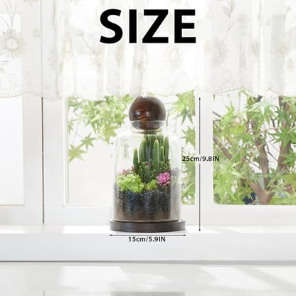 Tall Glass Terrarium Jar: House for Succulent Plant/Moss/Fish | Mini Table with Wood Base/Ball lid Office Home Decoration - size: H-9.8IN