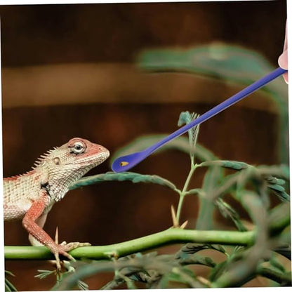 Yardwe 2Pcs Stainless Steel Reptile Food Spoon Reusable Feeding Tool for Lizards Small Reptiles Compact Design for Easy Pet Care