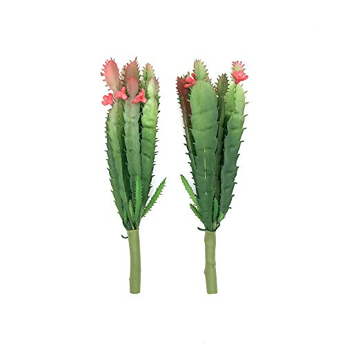 2 PCS Mini Artificial Succulents Plants Unpotted Faux Cactus Fake Succulent Bouquet Arrangements Faux Plants DIY for Garden Decor Home Decoration Greenery Set (Mini Cactus) - color: Mini Cactus