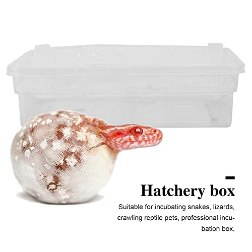POPETPOP Hatching Box for Reptiles Lightweight Incubation Container for Snakes Lizards and Geckos Transparent Design for Visibility Safe Plastic Material for Growth