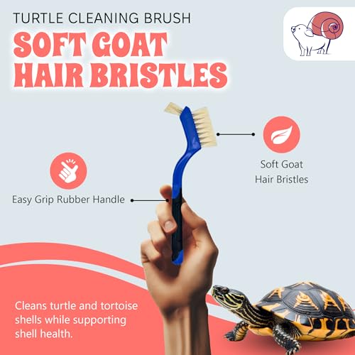 Turtle Cleaning Brush - Gently Remove Dirt from Turtles and Tortoises - Blue by Snout and Shell - color: Blue
