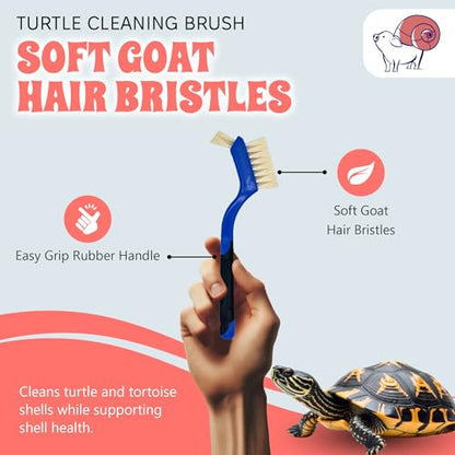 Turtle Cleaning Brush - Gently Remove Dirt from Turtles and Tortoises - Blue by Snout and Shell - color: Blue