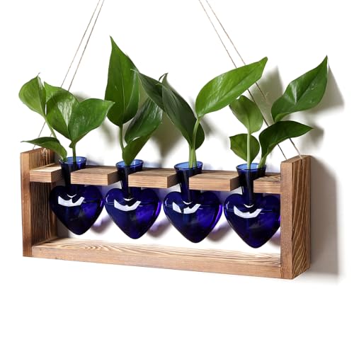 Plant Propagation Stations Heart Plant Terrarium Kit | Gift for Women Plant Lover Glass Vases - color: Blue