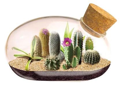 Mini Office Cactus Glass Terrarium Starter Kit with Complete Supplies - The Desert Mouse Tiny Garden - Fun to Grow, Low Maintenance - Perfect for The Indoor Office Or Home Tabletop or Desk!