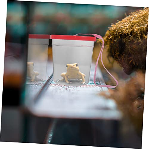 Toddmomy Transparent Reptile Breeding Container for Small Turtles Spiders and Insect Feeding Box with Smooth Surface Lightweight Portable Reptile Raising Cup for Crickets and Random Color