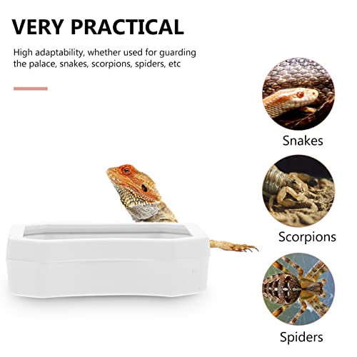 Crawling Toys Reptile Food Bowl Worm Dish: 10PCS Mini Plastic Reptile Water Feeder Bowl for Lizard Turtle Bearded Dragon Anoles Crested Gecko Hermit Black Accessories