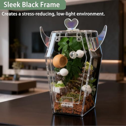 Acrylic Jumping Spider Enclosure，3mm Clear Coffin Terrarium with Magnetic Door & Feeding Hole, Secure Habitat for Jumping Spiders, Mantis, Small Tarantulas