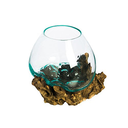 Cape Craftsmen 10" Hand-Blown Blue Tinted Bubble Glass On Natural Teak Driftwood Terrarium Kit | Home Décor Indoor Planter with Stand | Pot for Succulent and Plants - size: Medium (With Stand)