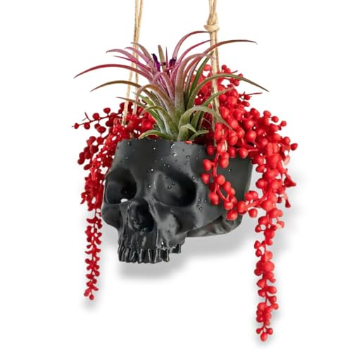 Resin Air Plant Holders,Tilandsia Container,Gothic Skeleton Planter,Halloween Plant Pot,Tillandsia Pot, Skull Table Top Display Planters for Air Plants and Other (3.9 * 5.5 * 3.2'',Black) - size: 3.9*5.5*3.2'',Black
