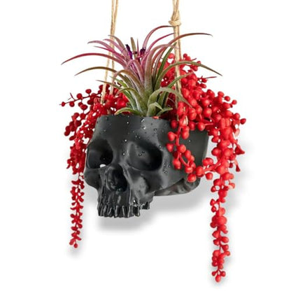 Resin Air Plant Holders,Tilandsia Container,Gothic Skeleton Planter,Halloween Plant Pot,Tillandsia Pot, Skull Table Top Display Planters for Air Plants and Other (3.9 * 5.5 * 3.2'',Black) - size: 3.9*5.5*3.2'',Black