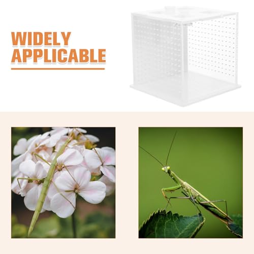 VICASKY Reptile Feeding Box Breeding Terrarium Habitat Container for African Phantom Mantis and Stick Insects Suitable for Insect Breeding