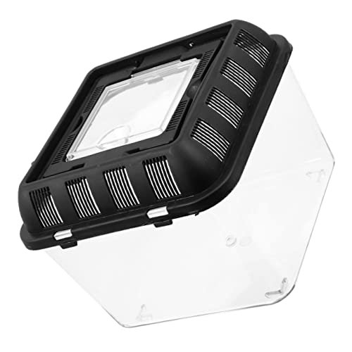 Yardwe Reptile Breeding Box Handle 3L Tortoise Transport Case Climbing PET Feeding Container for Reptiles Escape Design for Gecko and Spider