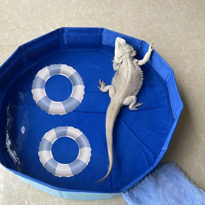 Foldable Bearded Dragon Bathtub with 2Pcs Reptile Mini Swimming Rings & Pump and 1Pcs Soft Brush, Bearded Dragon Accessories, Small Pet Bath Accessories (Blue) - color: Blue