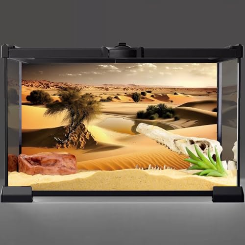 AWERT 24x12 inches Oasis Reptile Habitat Background Blue Sky Sun and Desert Terrarium Background Polyester Background - size: 24x12in/60x30cm