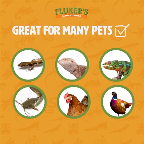 Fluker's Live Mealworms, 1000 Count Insects for Reptiles, Chickens, and Birds, Medium, (Approx. 3/4") - size: 1000 Count (Pack of 1), style: Medium, 3/4"