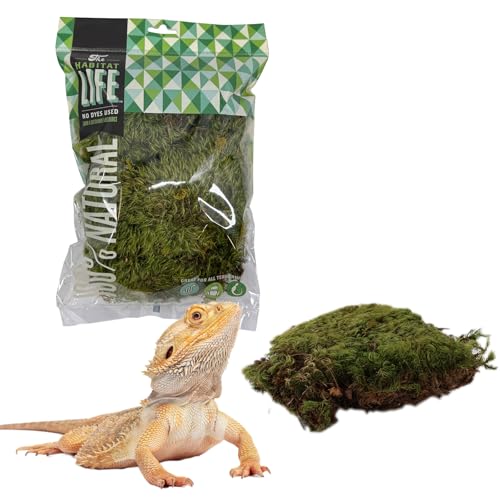 Mood Moss for Terrarium Habitats, Small 1-Pack | Preserved Moss for Reptiles, Amphibians & Invertebrates Terrariums, Humidity Control, Soft, Dye-Free, Family Owned, USA Made - size: Small 1-pack, style: Mood Moss