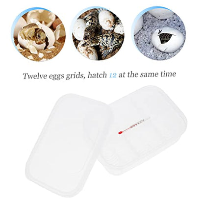 Happyyami Reptile Breeding Box Transparent Egg Incubator for Snakes Lizards Includes Thermometer Slot Efficient Hatching for Reptile Eggs