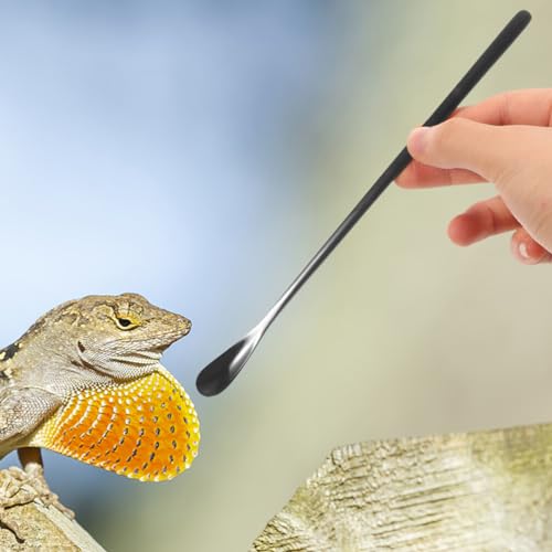 NOLITOY 3pcs Pet Food Spoon for Small Animals Feeding Tool for Bearded Dragons Lizards and Reptiles Compact Design for Easy Use - color: As Shown 2