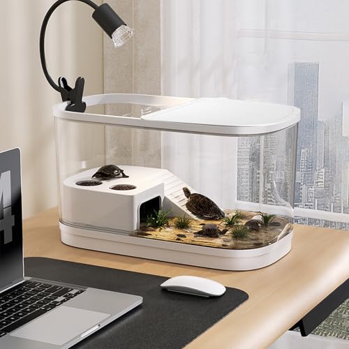Bearded Dragon Tank Habitat Enclosure for Reptile | Gecko Terrarium Tank for Spider Chameleon Tarantula Bearded Dragon Frog Snack Gecko Tortoise - color: White