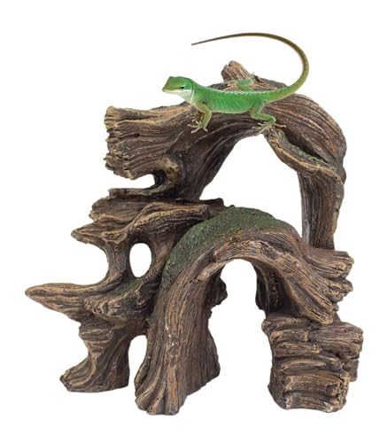 Penn-Plax Reptology Basking Branch Arch – Decorative Branch Formation for Aquariums & Terrariums – Great for Reptiles, Amphibians, and Fish