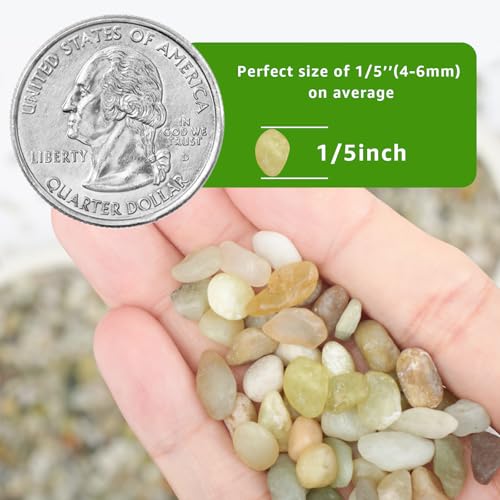 2lbs Natural Gravel Pebbles for Succulents and Cacti, 1/5 Inch Decorative River Stones – Perfect for Vases, Aquariums, Terrariums, and Outdoor Gardening, Mixed Colors (Jade, 2 Pounds) - color: Jade, size: 2 Pounds