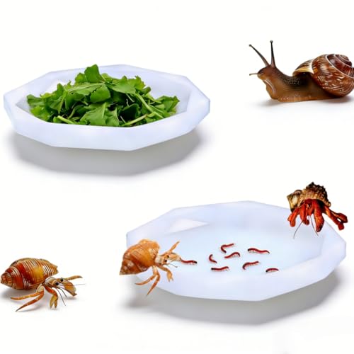 Snail Food and Water Bowl, Pet Snail Feeder, Small Reptile Food Dish Bowl Silicone Calcium Dish for Land Snails Lizard Gecko Bearded Dragon Chameleon and Hermit Crab (White, 2 Pcs)