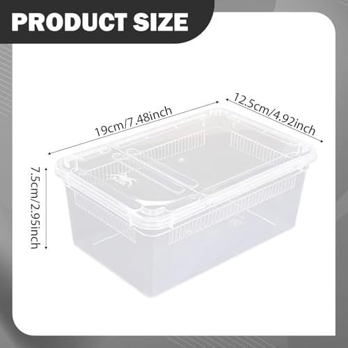 Reptile Feeding Box,Transparent Terrarium Habitat Cage Breeding Box Hatching Container for Gecko Animal Cricket Lizard, Style C - size: Style C