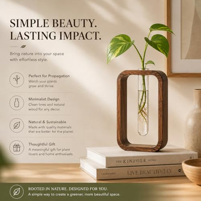 Modern Wooden Frame Glass Vase Hydroponic Planter – Minimalist Square Propagation Station with Test Tube Vase – Indoor Plant Terrarium for Flower, Cuttings & Home Office Decor