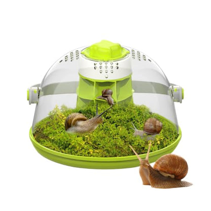 Snail Habitat Terrarium, Round Snail Enclosure with Feeding Design | Large Viewing Area, 360° Observation, Removable Base, Snail Habitat, Spider Enclosure & Small Reptile Habitat
