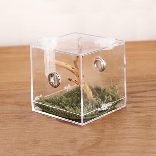 Jumping Spider Micro Big Habitat, Small Pet Insect Breeding Box, 360 Degree High Transparent Reptile Cage, Acrylic Case Mini Carrier for Amphibians, Feeding Container Enclosure Accessories