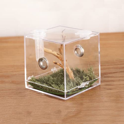 Jumping Spider Micro Big Habitat, Small Pet Insect Breeding Box, 360 Degree High Transparent Reptile Cage, Acrylic Case Mini Carrier for Amphibians, Feeding Container Enclosure Accessories