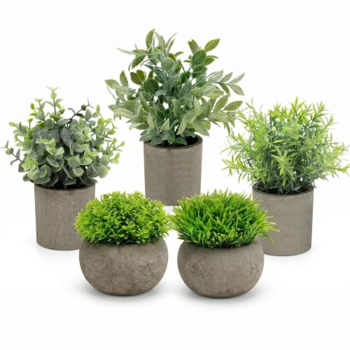 AUUGUU Artificial Potted Plants Faux Greenery in Cement Pots for Shelf, Bookshelf, Office or Home Decor, Small Decorative Fake Plants for Modern Indoor Display