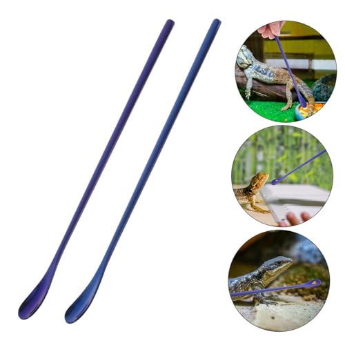 2pcs Stainless Steel Feeding Spoon for Reptiles for Lizard Food and Small Pets Lightweight Design Feeding Tool for Bearded Dragons and Other Pets - color: Blue