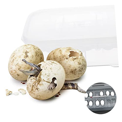DECHOUS Reptile Hatching Incubation Box Transparent Dual Design for Lizard Breeding Lightweight and Durable Hatching Hatchery Container Reptile Enthusiasts