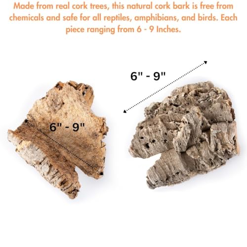 Galápagos (05501) Natural Cork Bark for Reptiles – Ideal for Bearded Dragons, Snakes, and Geckos – Climbing Accessory for Terrariums, Turtle Tanks, and Bird Cages, Flat 6” – 9”, Natural
