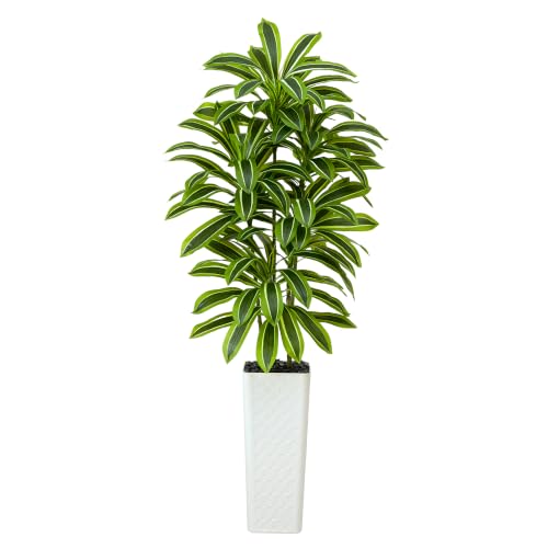 Artificial Dracaena Tree: 7FT Fake Plants Silk Faux Trees（White Pot） | Realistic Fake Floor Plant with Natural Wood Trunk & Lifelike Leaves in Tall Planter for Home Office Decor Indoor & Outdoor - color: Dark Green – White Pot, size: 7FT