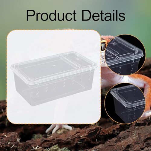 Reptile Feeding Box,Transparent Terrarium Habitat Cage Breeding Box Hatching Container for Gecko Animal Cricket Lizard, Style D - size: Style D