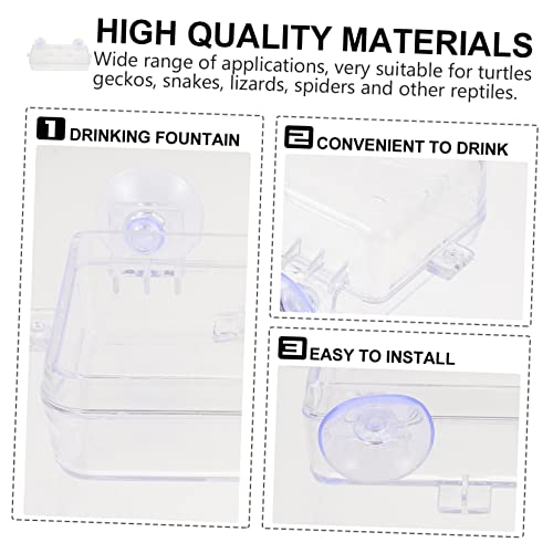 Beavorty 1pc Lizard Feeding Bowl Suction Cup Reptile Feeder Reptiles Reptile Water Bowl Reptile Gecko Feeder Dish Bowl Worm Dish Reptile Bowl Terraium Bowl Gecko Drink Acrylic Suction Basin